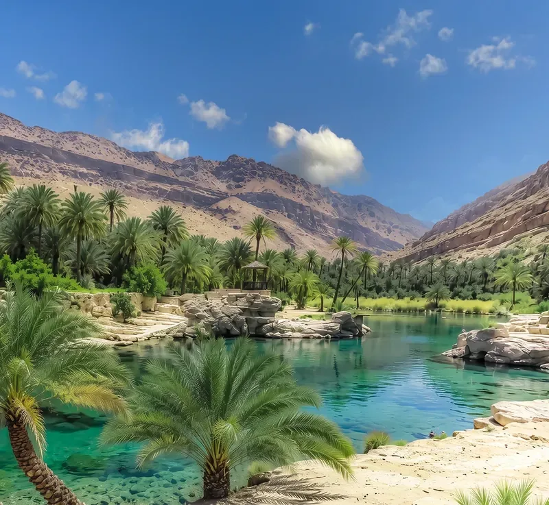 Turquoise pools among palms at Wadi Bani Khalid